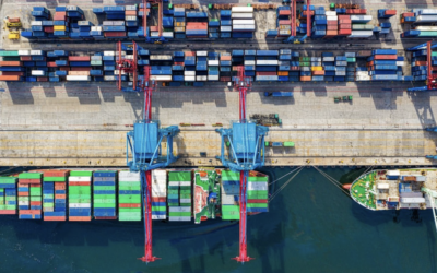 Traceability in Supply Chain: Why it matters.